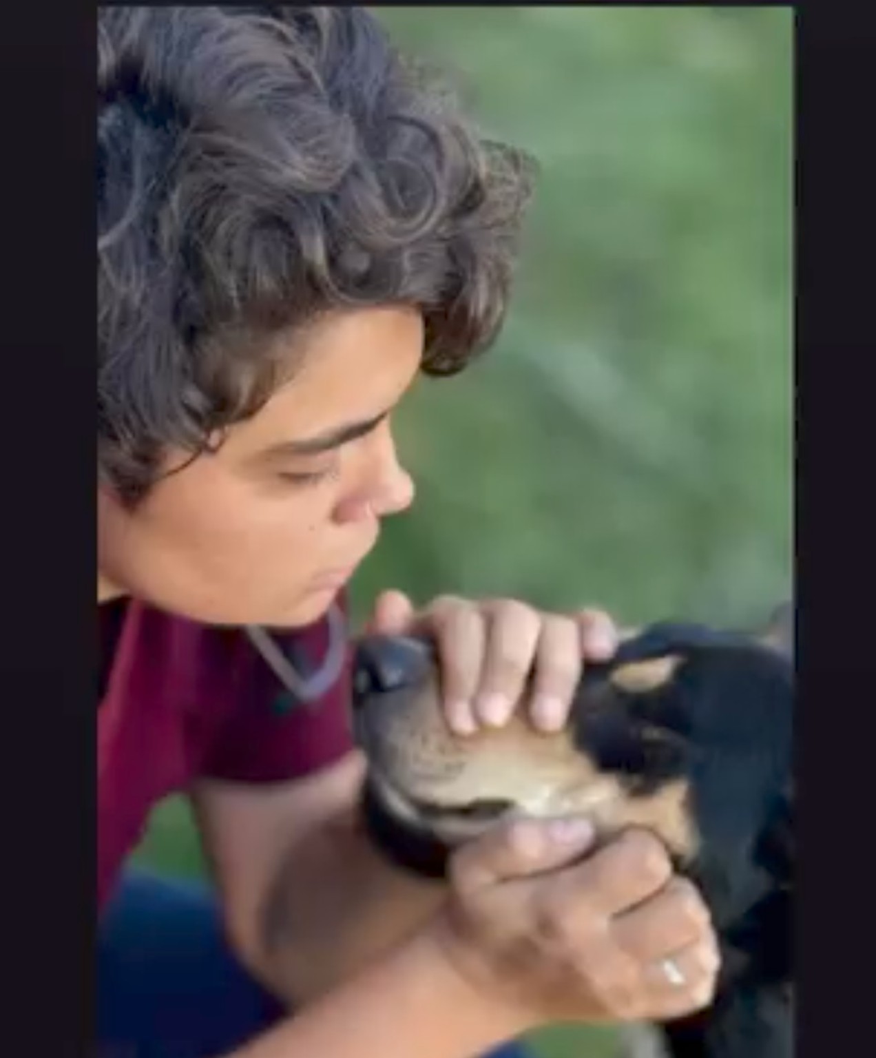 Atendimento veterinário em animal