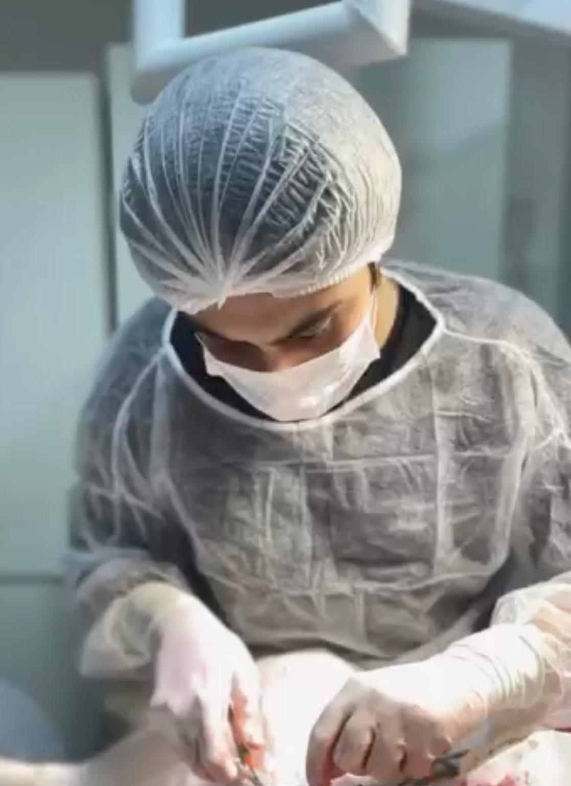 Atuação profissional em procedimento veterinário